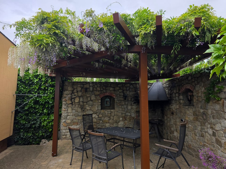Hotová hliníková pergola so zachovanou vistériou